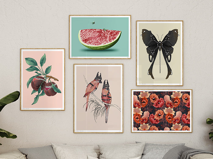 Art Collector on a Budget Started Guide