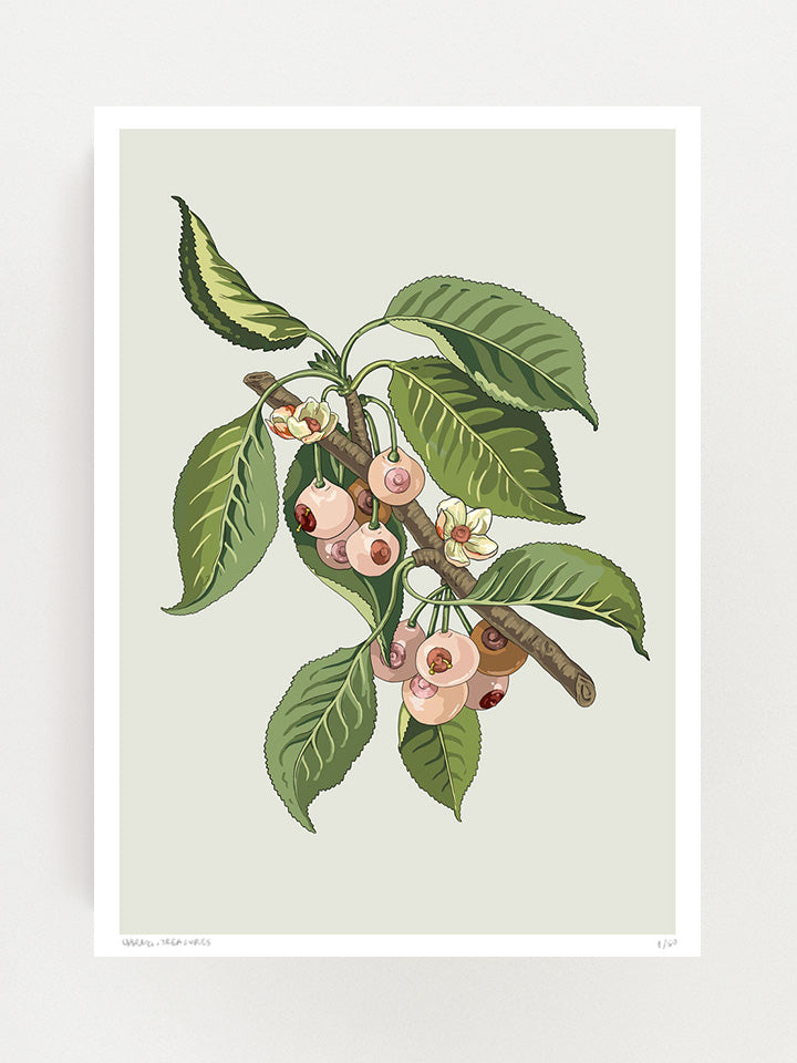 An Illustration of a tree branch with leaves that the fruits that are hanging from it look like boobs, on top of beige background  - Art by useless treasures  